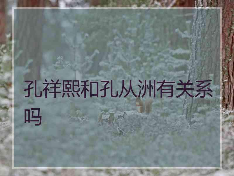 孔祥熙和孔从洲有关系吗
