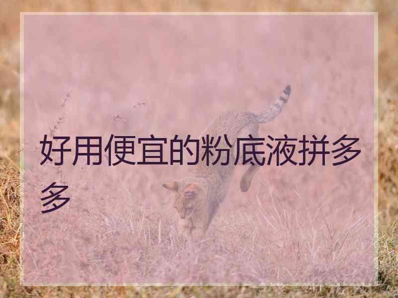 好用便宜的粉底液拼多多