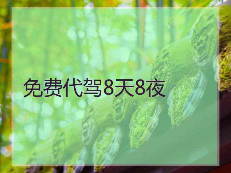 免费代驾8天8夜