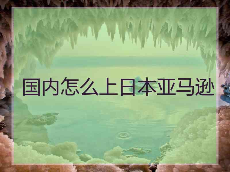 国内怎么上日本亚马逊