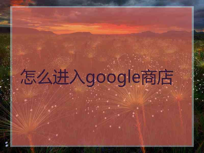 怎么进入google商店