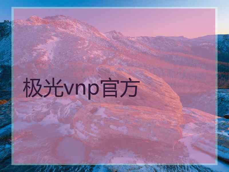 极光vnp官方