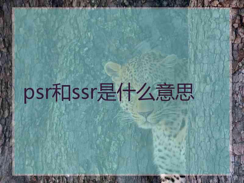 psr和ssr是什么意思