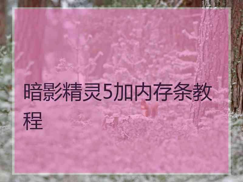 暗影精灵5加内存条教程