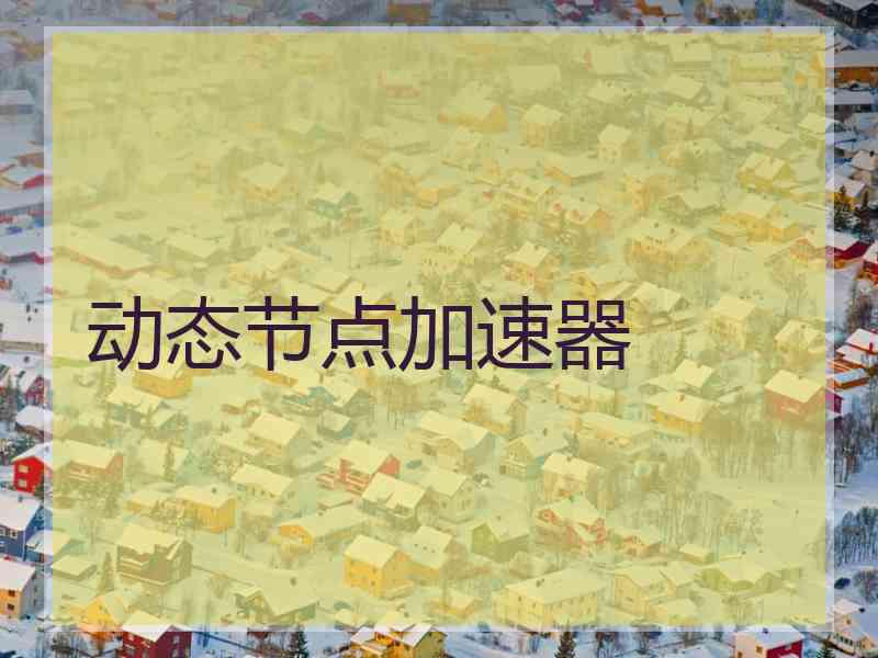 动态节点加速器