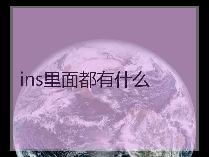ins里面都有什么