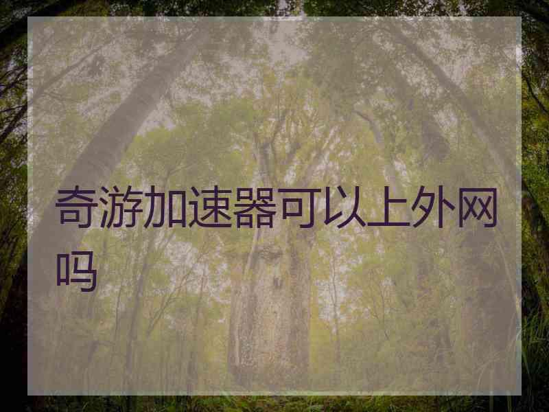 奇游加速器可以上外网吗