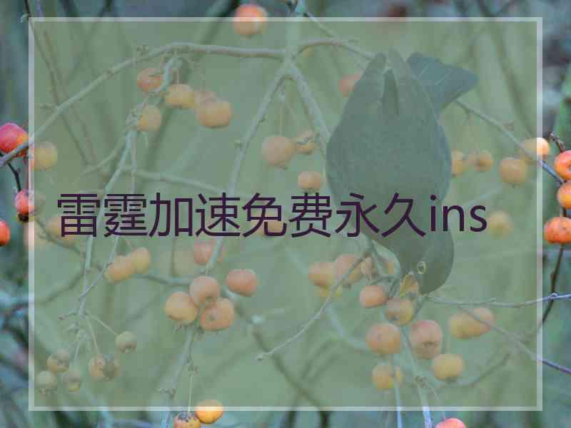 雷霆加速免费永久ins