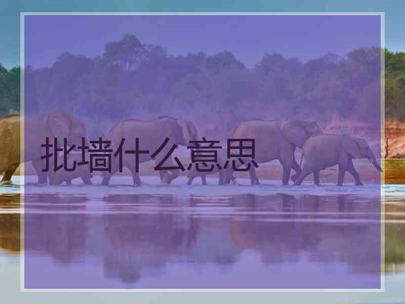 批墙什么意思