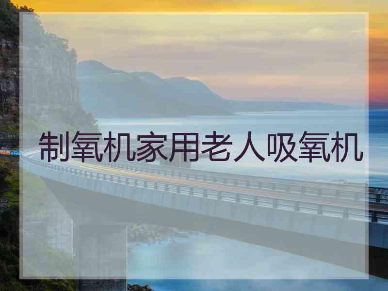 制氧机家用老人吸氧机