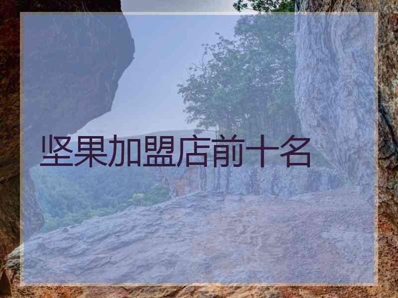 坚果加盟店前十名