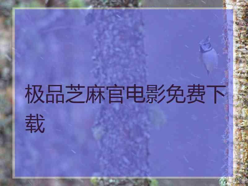 极品芝麻官电影免费下载