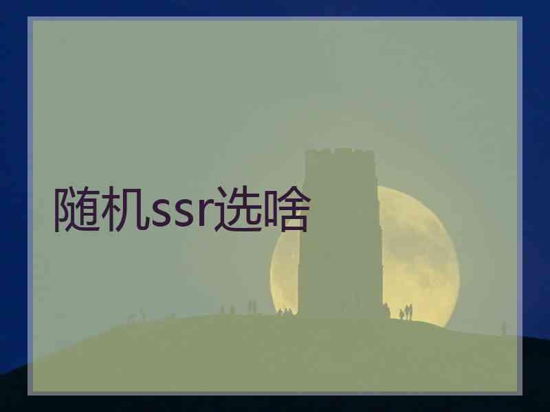随机ssr选啥