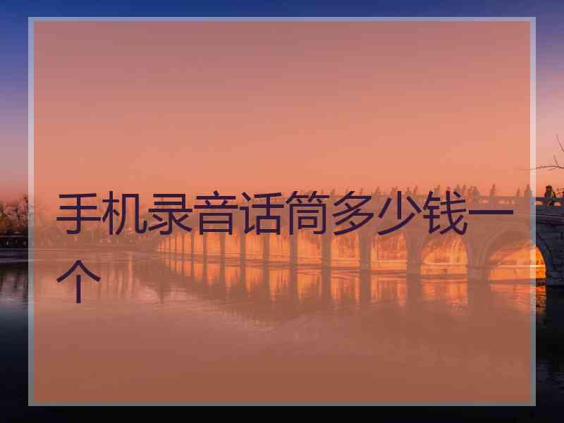 手机录音话筒多少钱一个