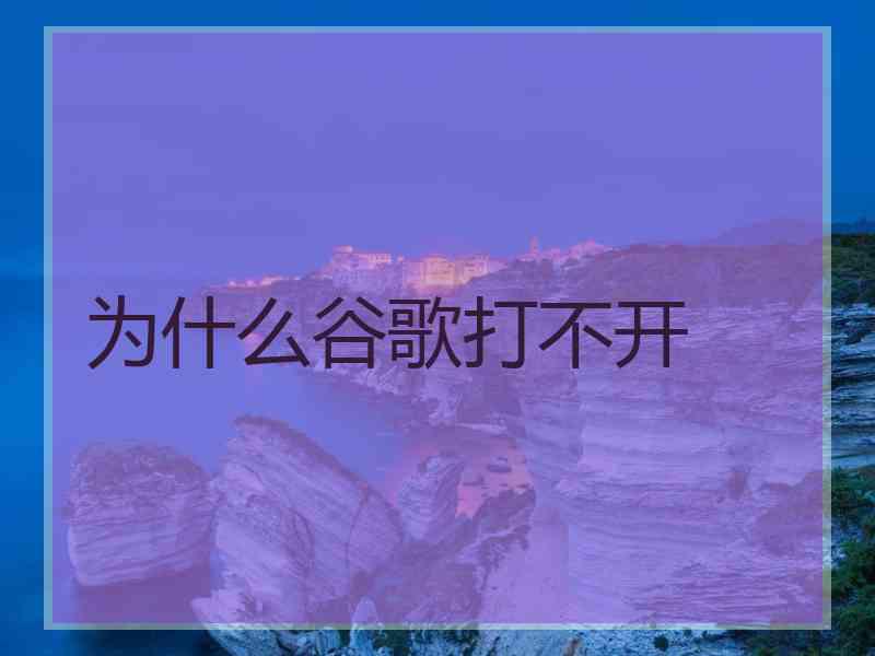 为什么谷歌打不开