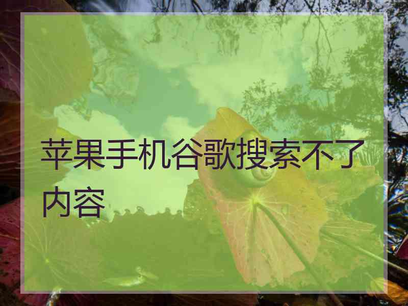 苹果手机谷歌搜索不了内容
