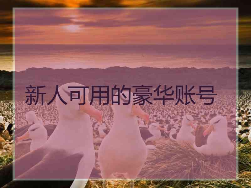 新人可用的豪华账号