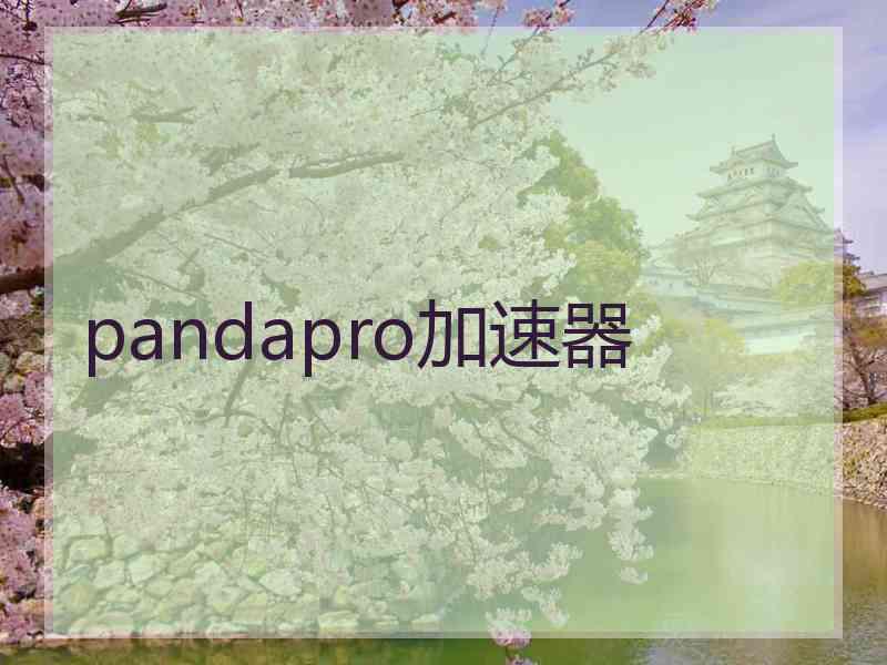 pandapro加速器