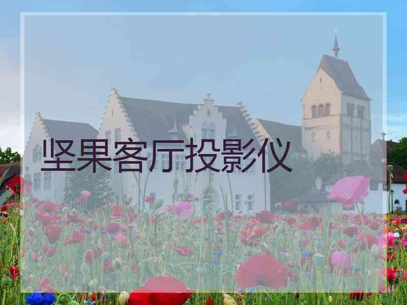 坚果客厅投影仪