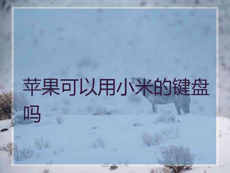 苹果可以用小米的键盘吗