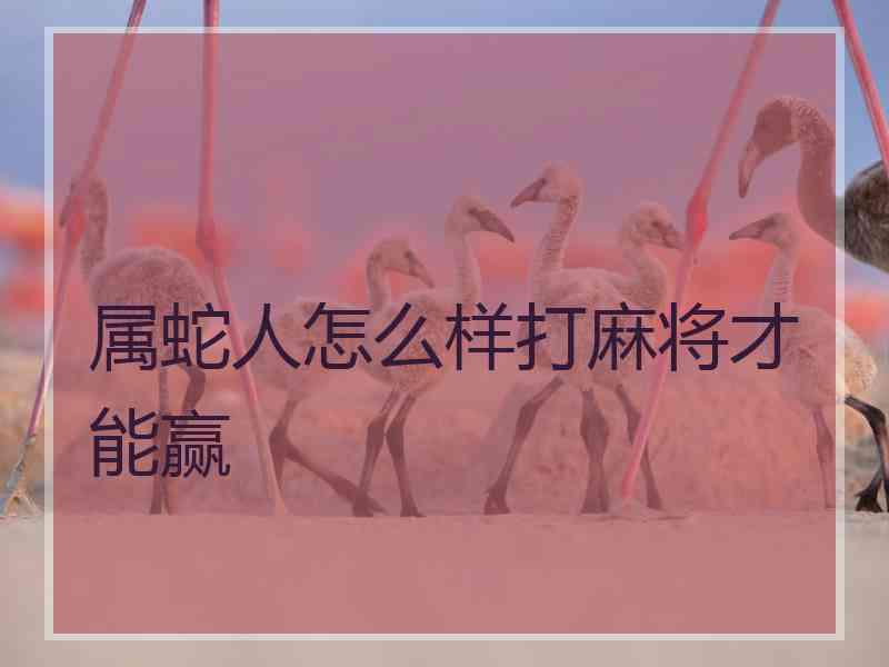 属蛇人怎么样打麻将才能赢