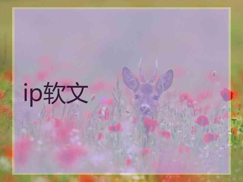 ip软文