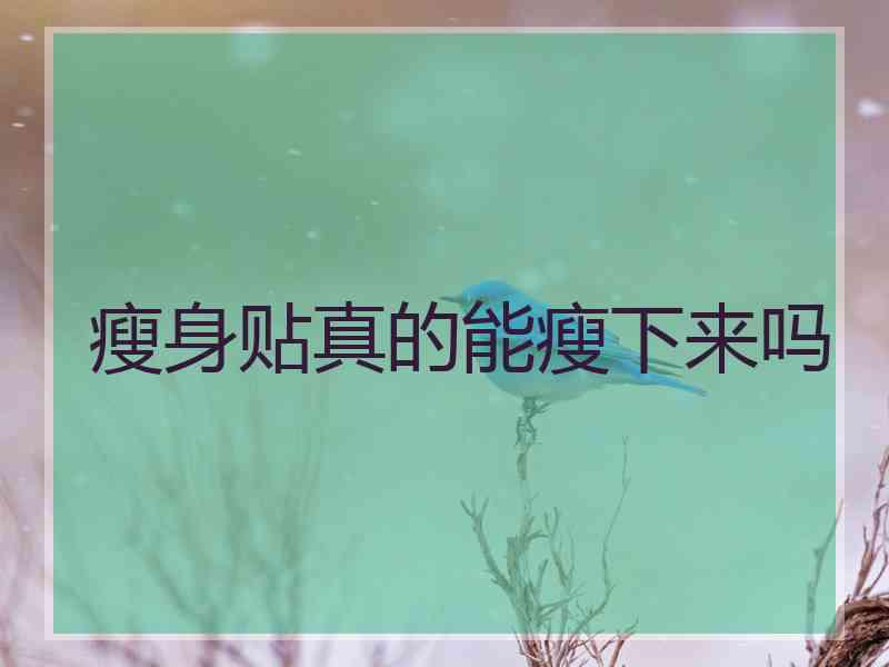 瘦身贴真的能瘦下来吗