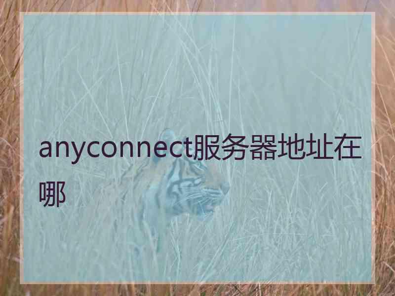 anyconnect服务器地址在哪