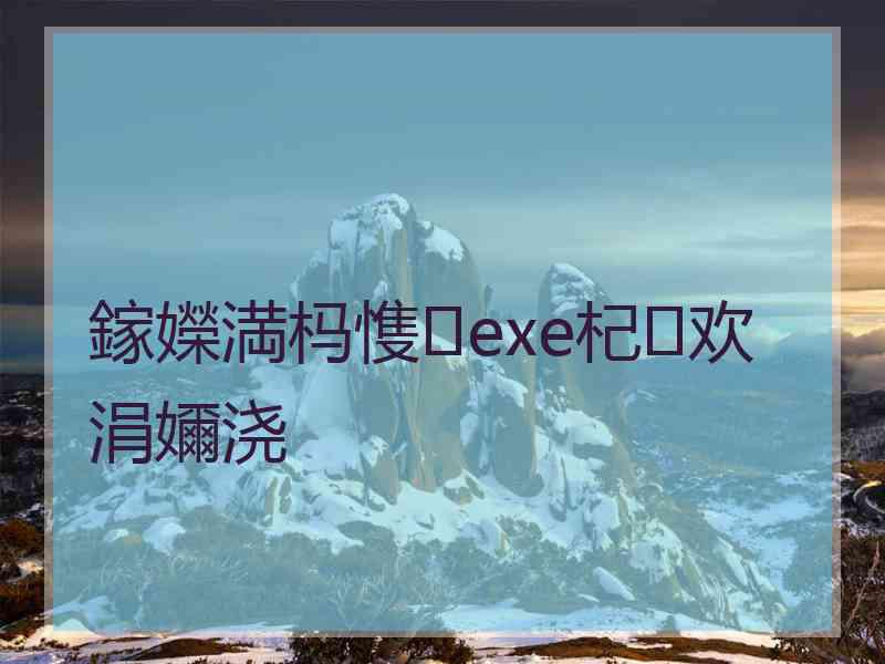 鎵嬫満杩愯exe杞欢涓嬭浇