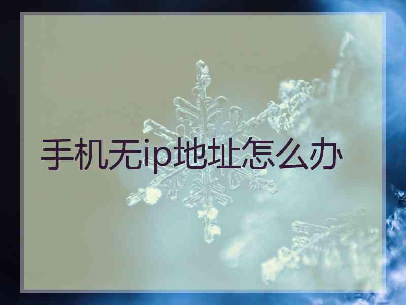 手机无ip地址怎么办