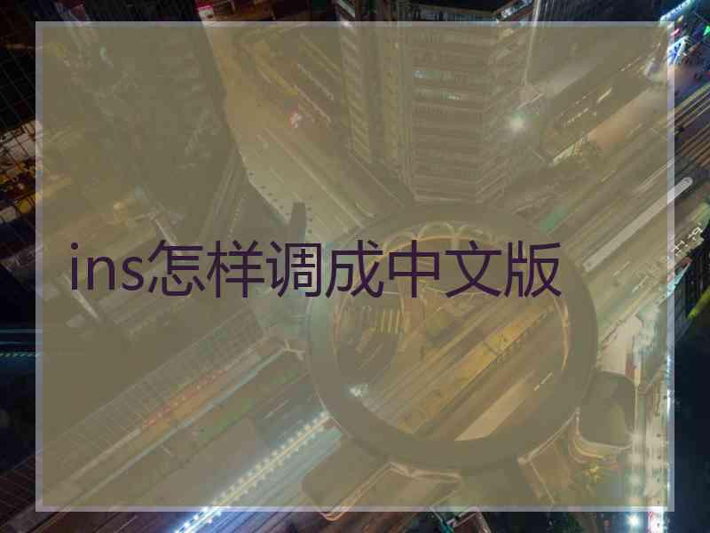 ins怎样调成中文版