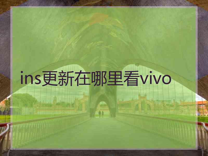 ins更新在哪里看vivo