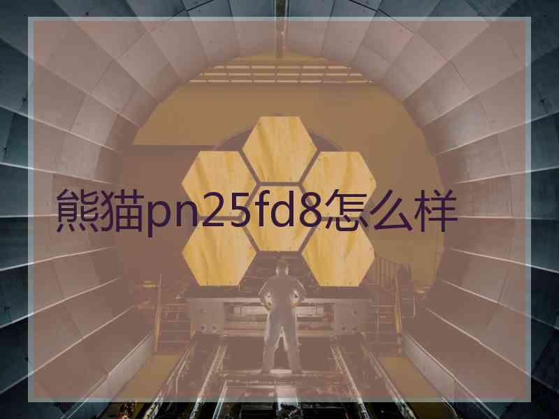熊猫pn25fd8怎么样
