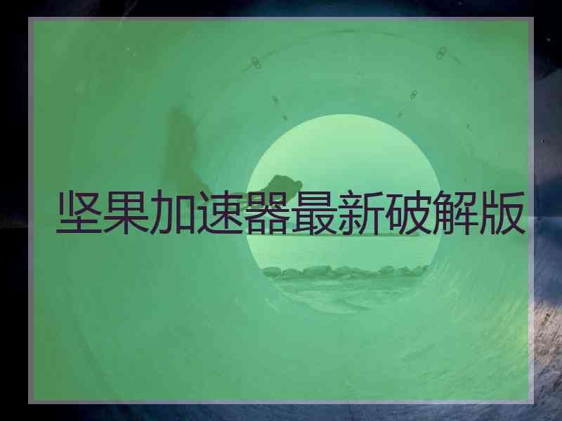 坚果加速器最新破解版