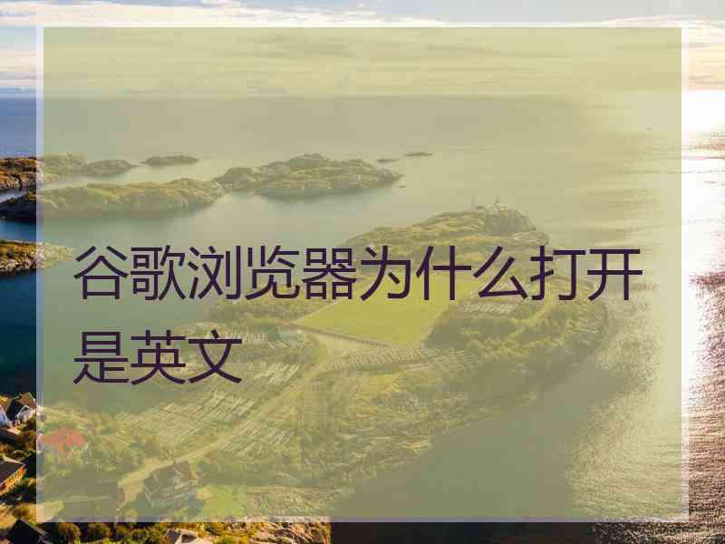 谷歌浏览器为什么打开是英文
