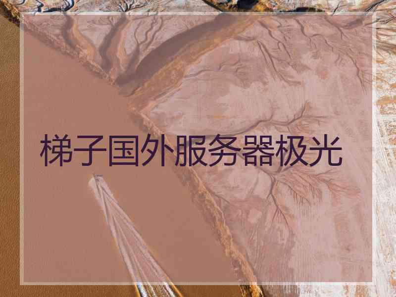 梯子国外服务器极光