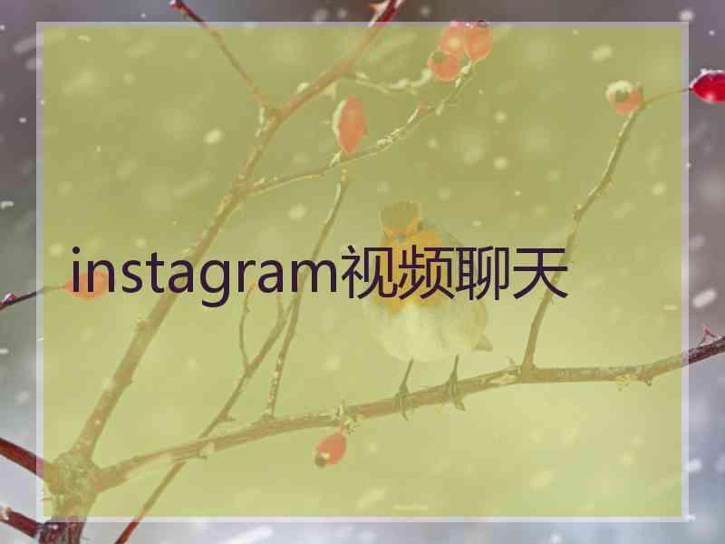 instagram视频聊天