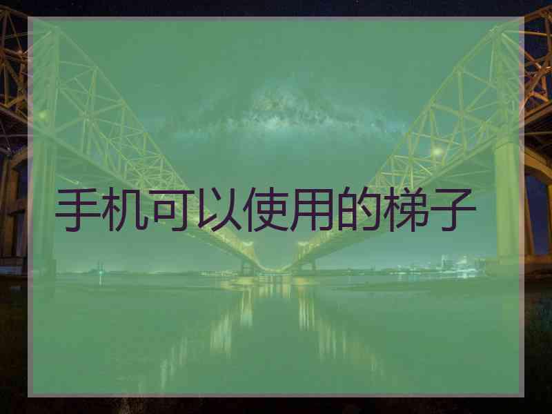 手机可以使用的梯子