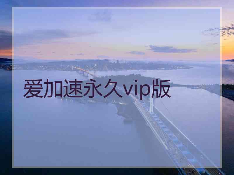 爱加速永久vip版