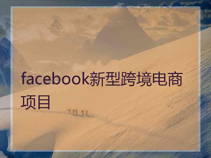 facebook新型跨境电商项目