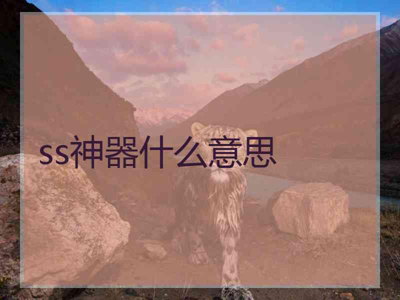ss神器什么意思