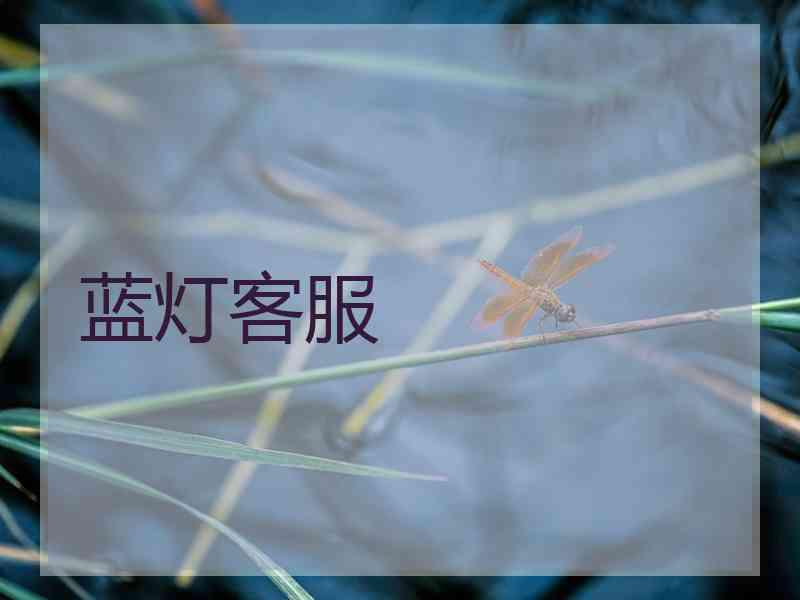 蓝灯客服