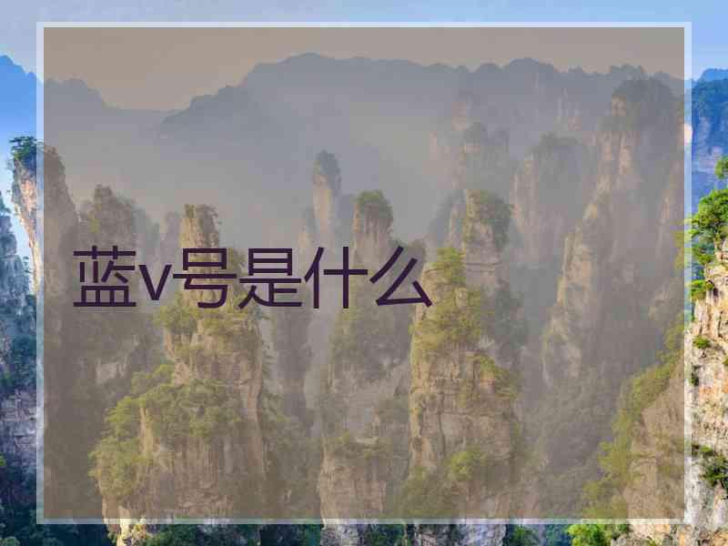 蓝v号是什么