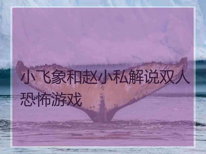 小飞象和赵小私解说双人恐怖游戏