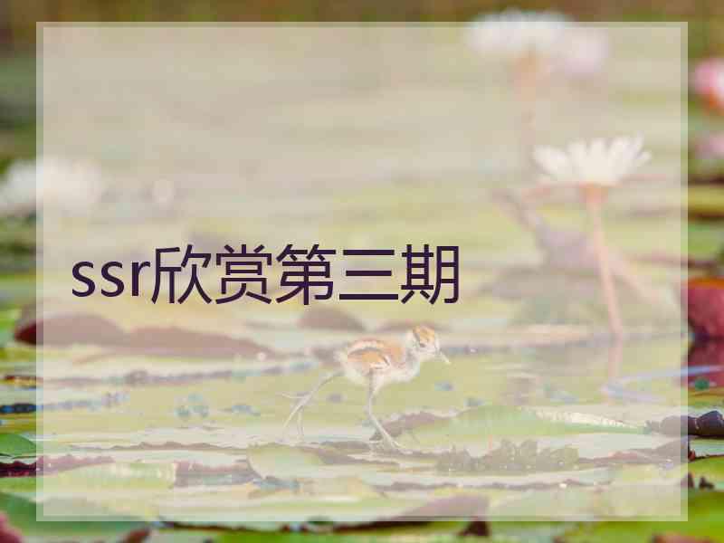 ssr欣赏第三期