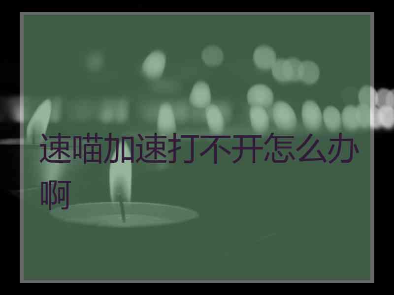 速喵加速打不开怎么办啊