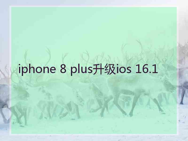iphone 8 plus升级ios 16.1