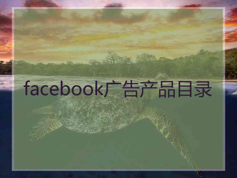 facebook广告产品目录