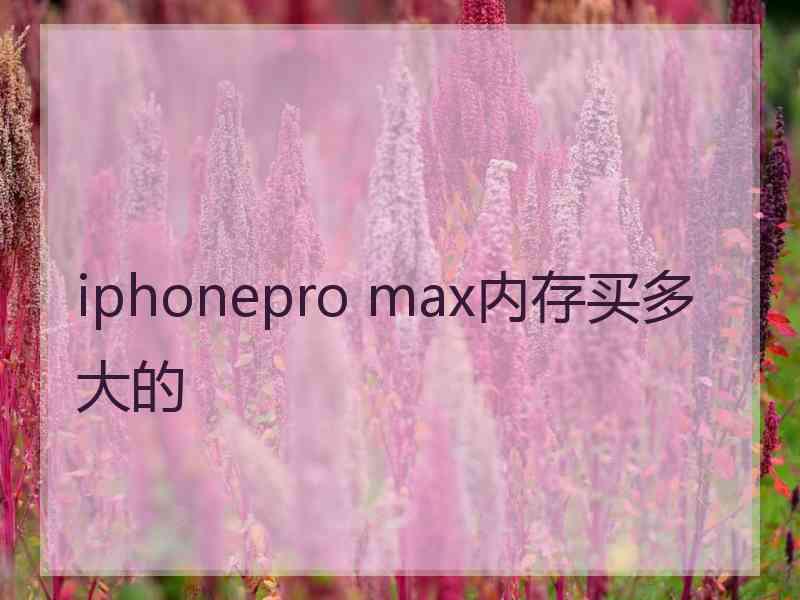iphonepro max内存买多大的