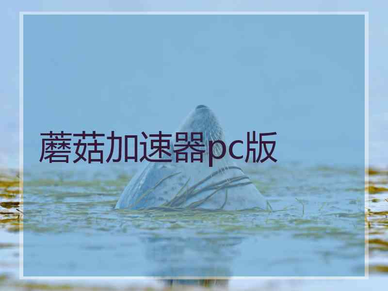 蘑菇加速器pc版